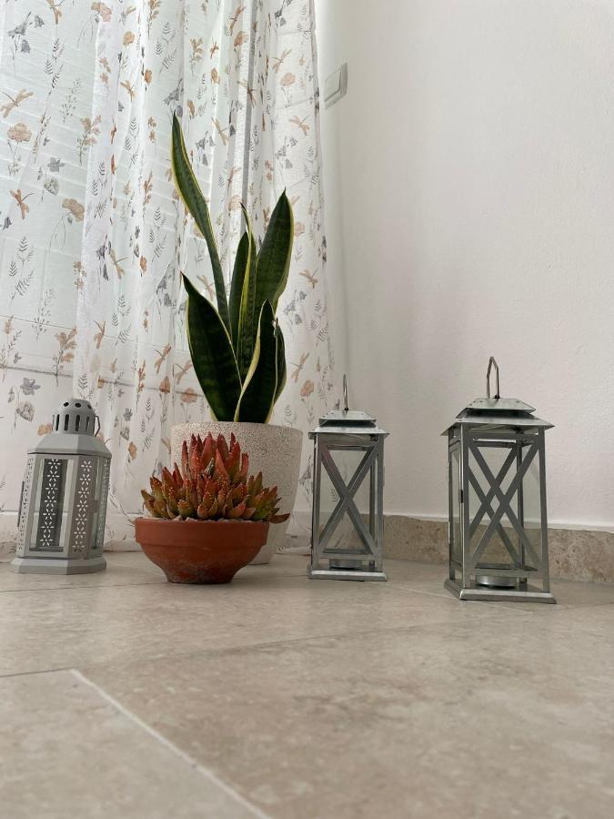 Apartmani Maris II Palit المظهر الخارجي الصورة
